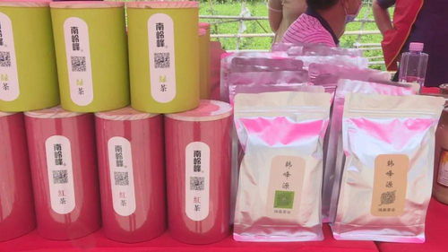 南嶺鎮消費扶貧展銷會圓滿落幕，農特產品及紡織品銷售成果顯著